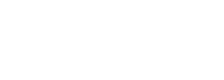 Verizon Solid Wordmark